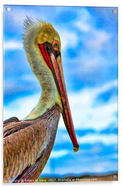 Portrait of a Brown Pelican Acrylic by Robert M. Vera