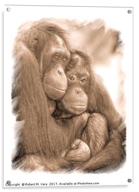 Orangutan Sisters Acrylic by Robert M. Vera