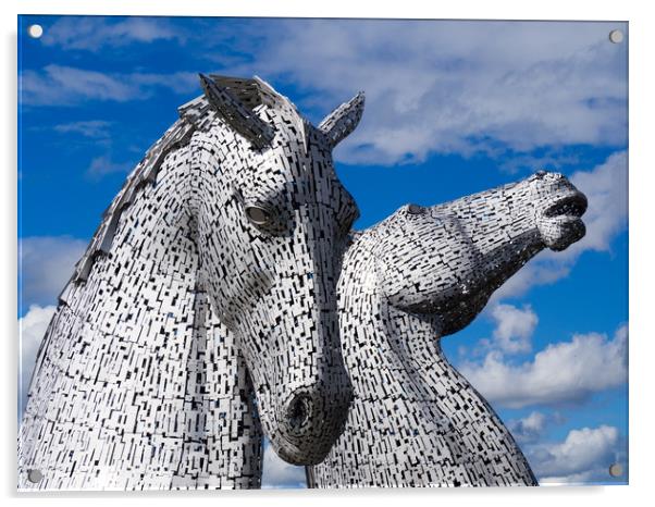The Kelpies in Falkirk, Scotland Acrylic by Maarten D'Haese