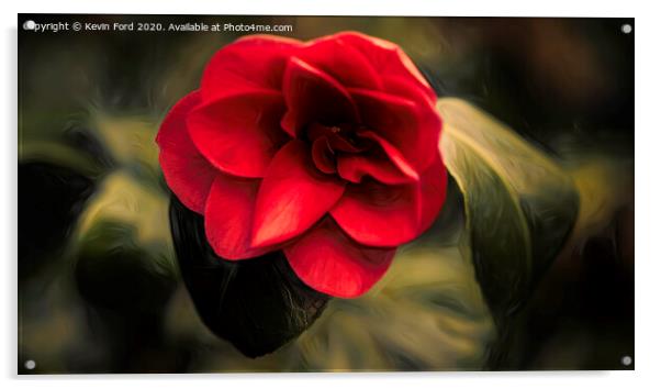 Single Red Camelia Acrylic by Kevin Ford