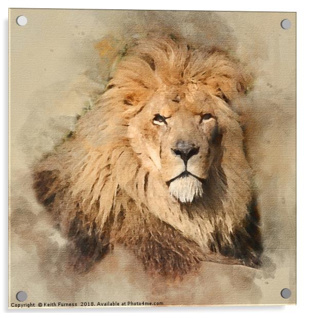 King of the Jungle Acrylic by Keith Furness