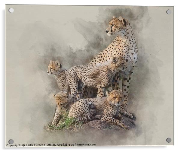 Cheetah Family Acrylic by Keith Furness