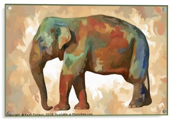 Elephant in Colour Acrylic by Keith Furness