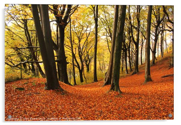 Autumn colours in Fforest Fawr Acrylic by Glyn Evans