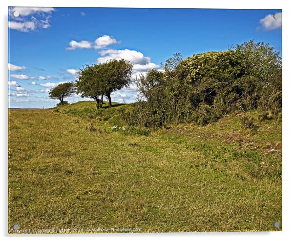 Trees on a hillfort's ramparts Acrylic by Graeme Hutson