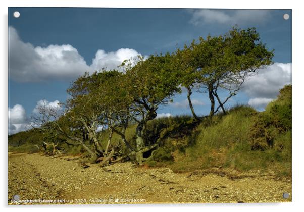 Windswept oak trees Acrylic by Graeme Hutson