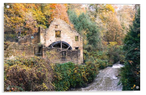 Autumn in Jesmond Dene Acrylic by mark james