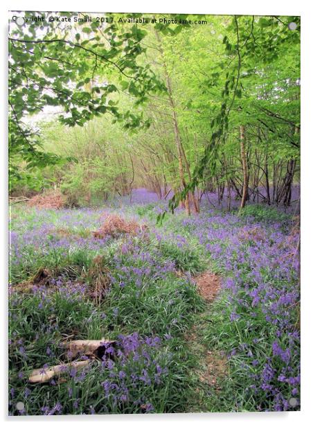 Hidden Bluebell Wood Acrylic by Kate Small