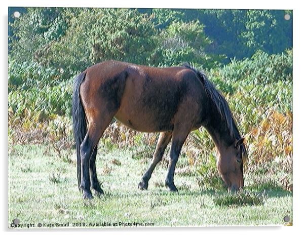 Grazing Alone Acrylic by Kate Small