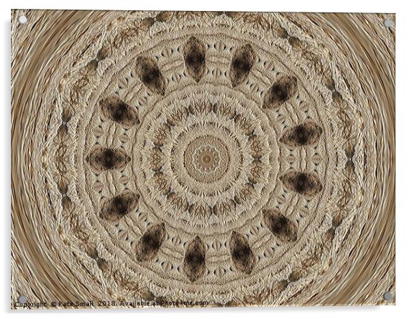 Rope Fiber Acrylic by Kate Small