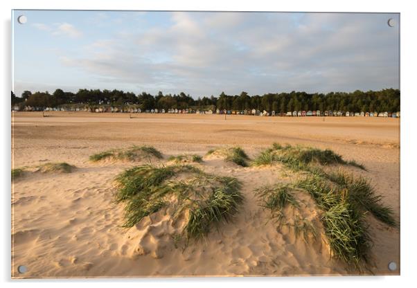 Sand dunes and beach huts at Wells Next the Sea Acrylic by Owen Vachell