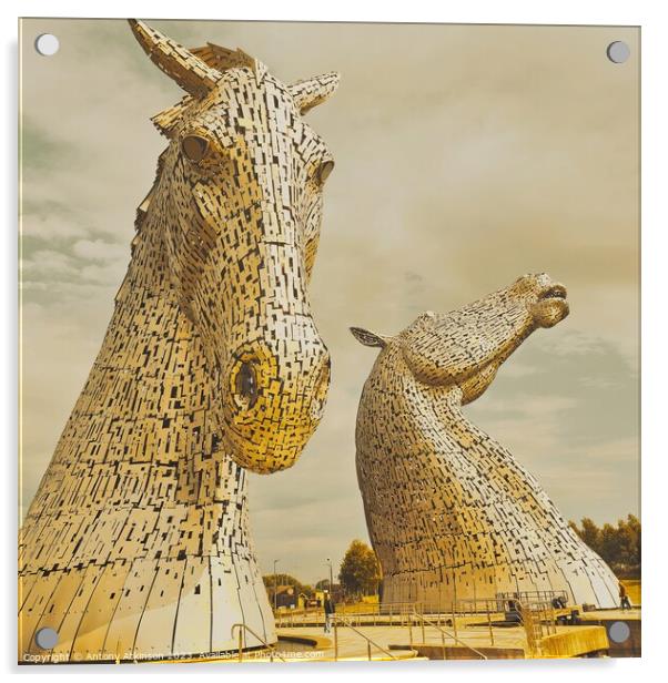 Horses at Kelpies Acrylic by Antony Atkinson