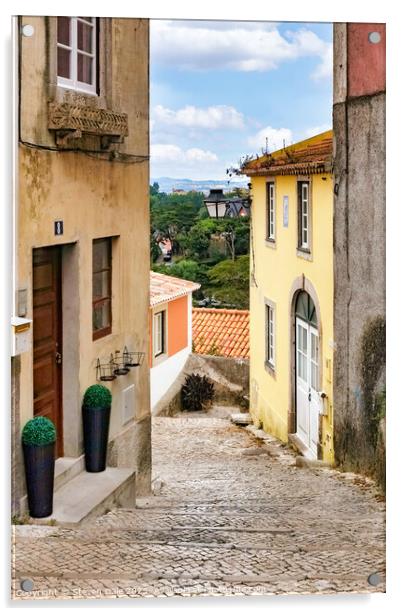 Charming Sintra Street Vista Acrylic by Steven Dale