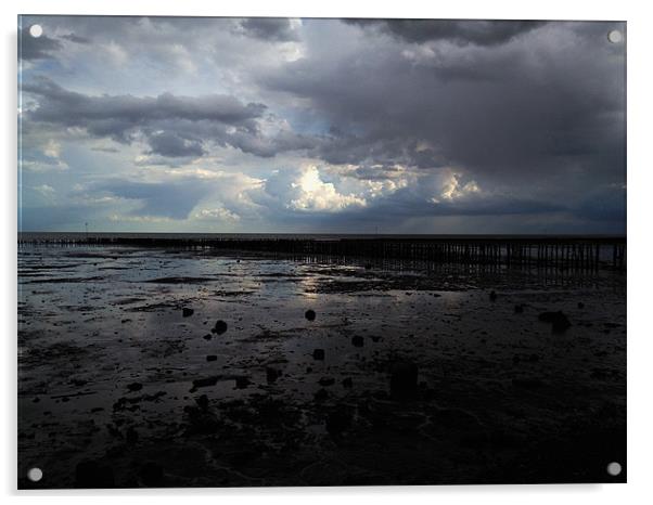 Mersea Island Darkening Sky Acrylic by Steven Dale