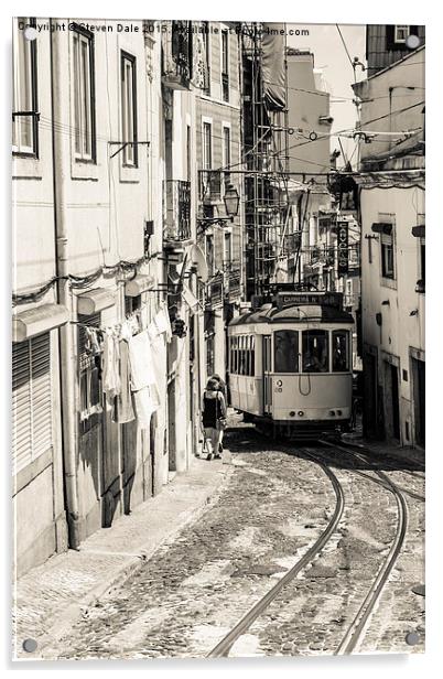 No. 28 Lisbon Tram  Acrylic by Steven Dale