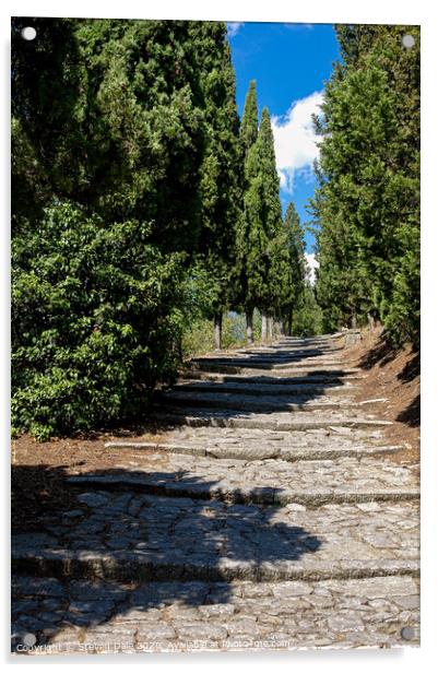 Steps at Cortona, Province of Arezzo, Tuscany, Italy, Acrylic by Steven Dale
