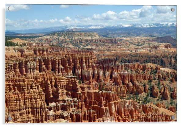 Bryce Canyon Acrylic by Janet Mann
