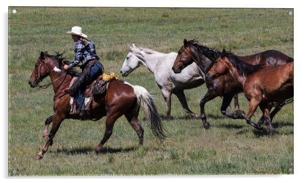 wild horses in action Acrylic by Janet Mann