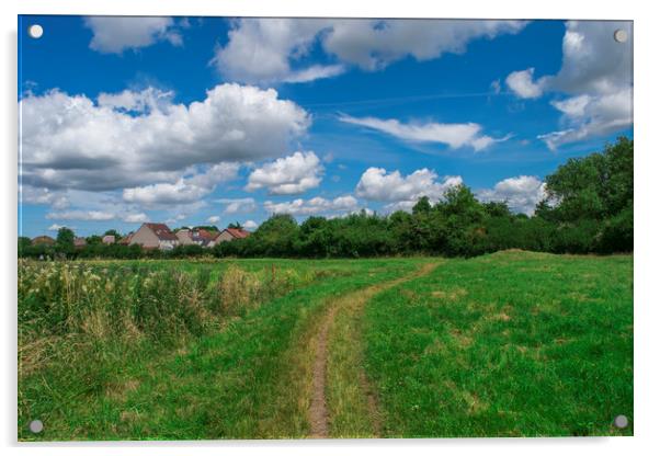 Spring nature, landscape in wyken croft park, UK Acrylic by Wael Attia