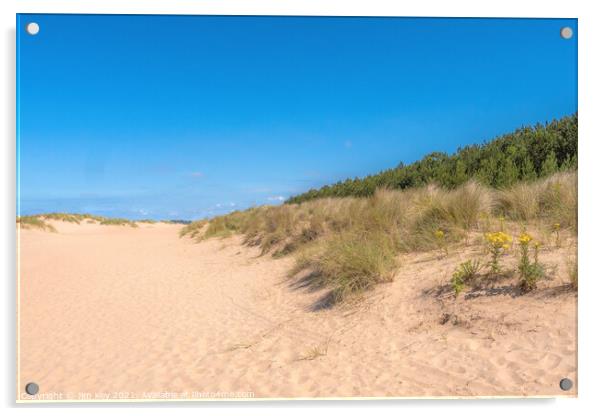 The Sand Dunes on Wells Beach Norfolk    Acrylic by Jim Key