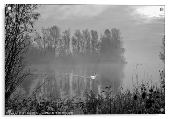White Swan at Sunrise Black and White    Acrylic by Jim Key
