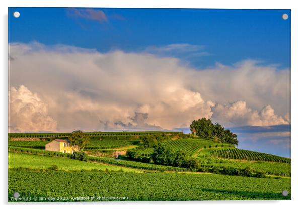 View of a Saint-Emilion Vinyard Bordeaux   Acrylic by Jim Key