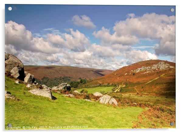 Bonehill Rocks Dartmoor Acrylic by Jim Key