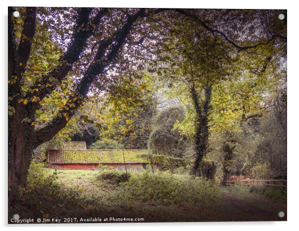 A Rural View  Acrylic by Jim Key