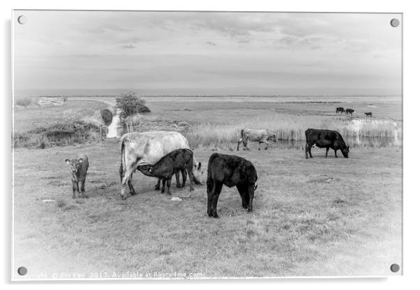 Farming in the Norfolk Marshland Acrylic by Jim Key