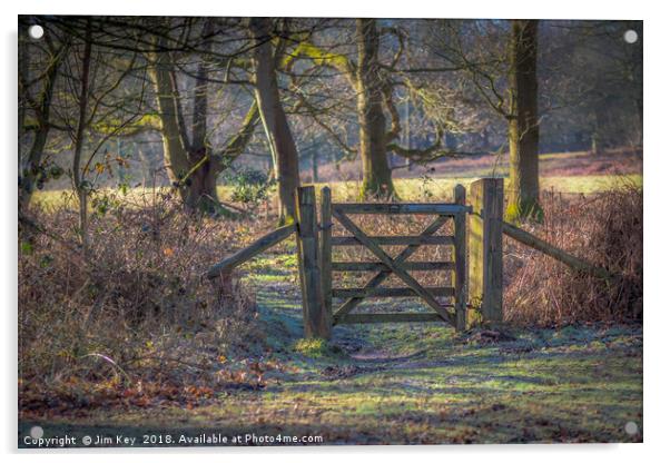A Gate in the Wood Acrylic by Jim Key