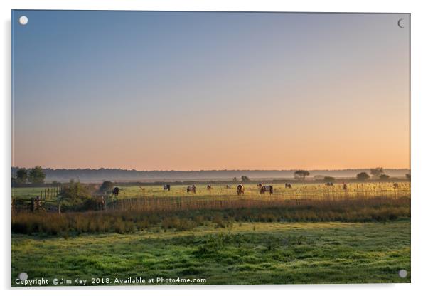 Sunrise on a herd of Belties Acrylic by Jim Key