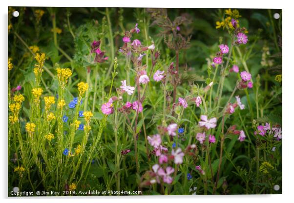 Wildflowers by the Roadside Acrylic by Jim Key