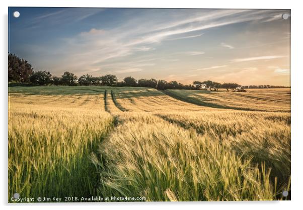 Field of Barley Kelling Norfolk Acrylic by Jim Key