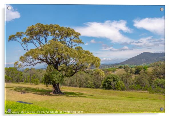 The Hunter Valley Australia  Acrylic by Jim Key