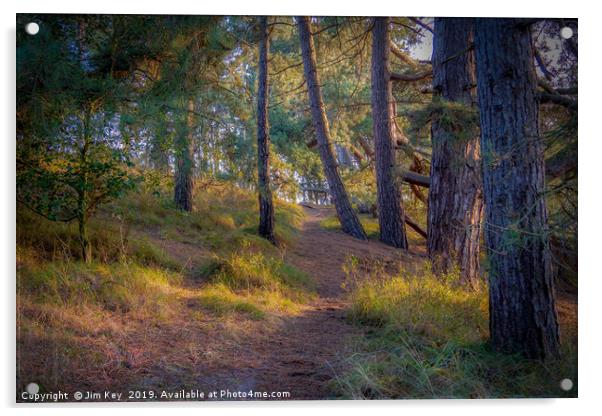 A Serene Walk Through Norfolks Pine Woods Acrylic by Jim Key