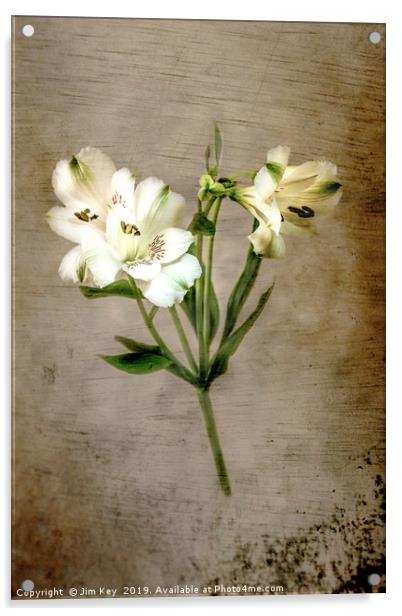 White Lily Acrylic by Jim Key