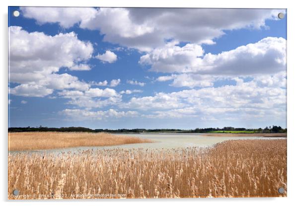 Snape Maltings  Suffolk Acrylic by Jim Key