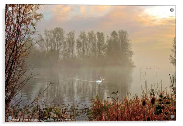 White Swan at Sunrise   Acrylic by Jim Key