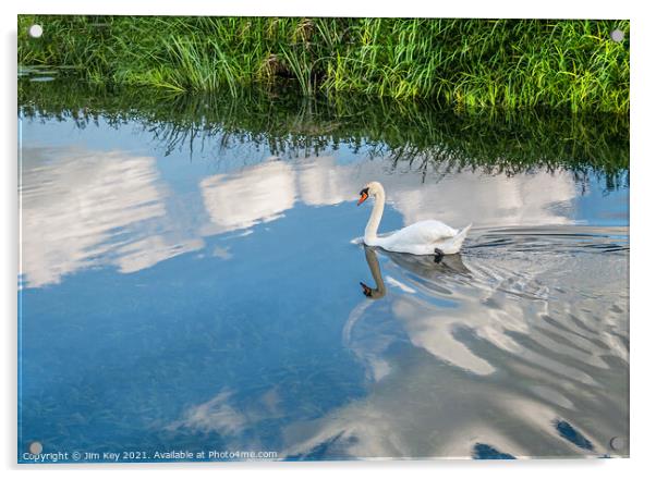 Swan Reflection Acrylic by Jim Key