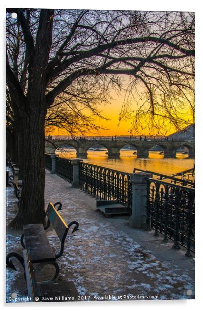 Prague Sunset over Vitava river Acrylic by Dave Williams