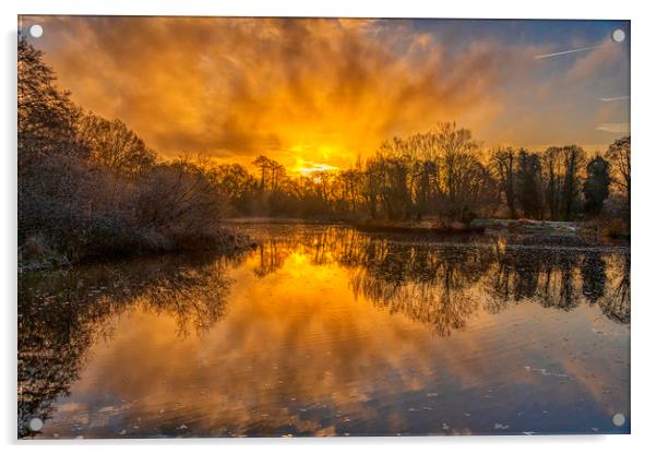 Sky Fire Acrylic by Dave Williams