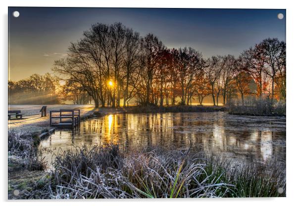 Winter Sunrise at Yateley Green Pond Acrylic by Dave Williams