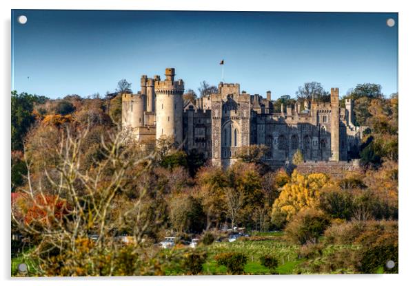 Arundel Castle, West Sussex Acrylic by Dave Williams