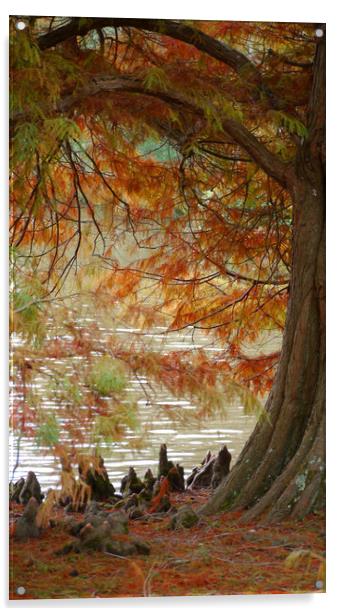 Autumn Colours Acrylic by Dave Williams