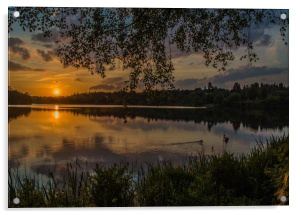 Virginia Water Sunset Acrylic by Dave Williams