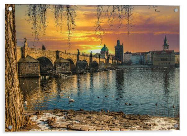 Golden Prague and the Charles Bridge Acrylic by Dave Williams