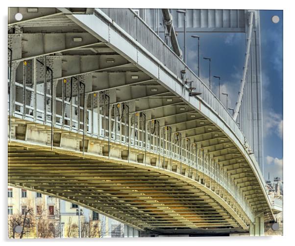 Beneath The Elisabeth Bridge in Budapest Acrylic by Dave Williams