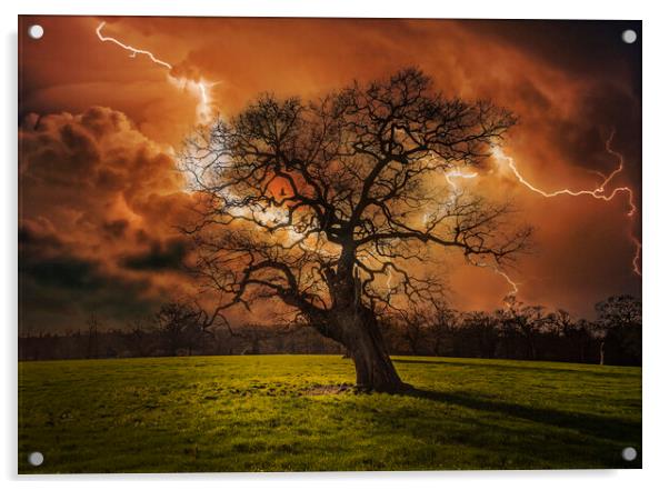 Hells Bells _ Thunderstruck Tree Acrylic by Dave Williams