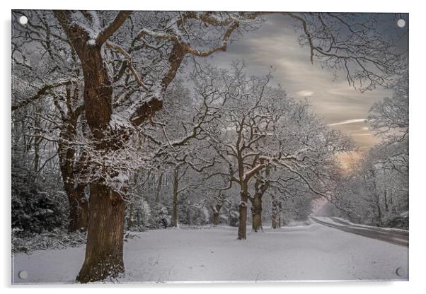 Winter Snow at Hartley Witney in Hampshire Acrylic by Dave Williams