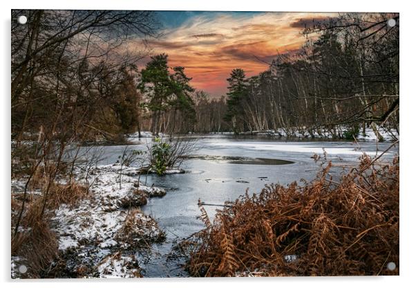 Winters Morning at Heath Pond, Simons Wood in Berk Acrylic by Dave Williams